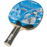 Butterfly Werner Schlager silver ping pong ütő